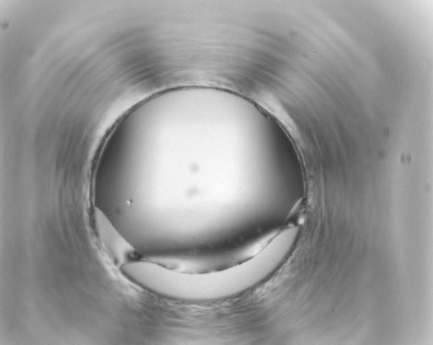 X0000088641144200706221539