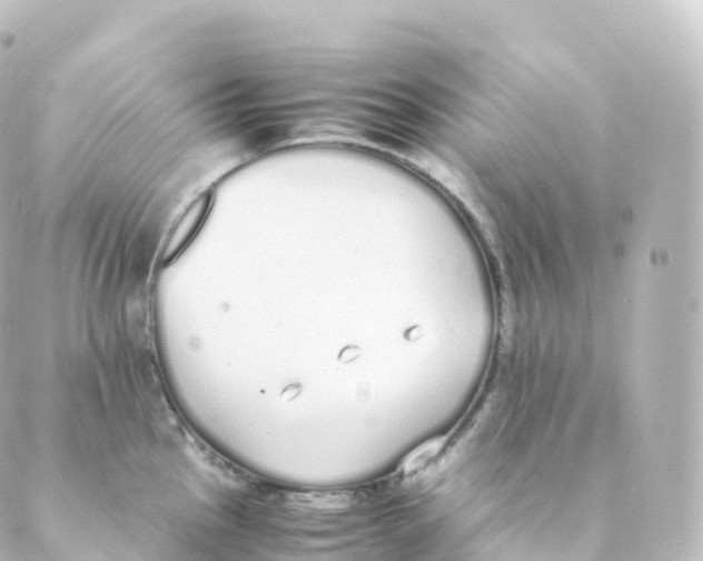 X0000088641145200706221539