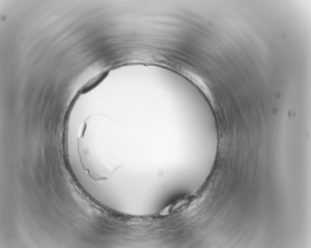 X0000088641146200706221539