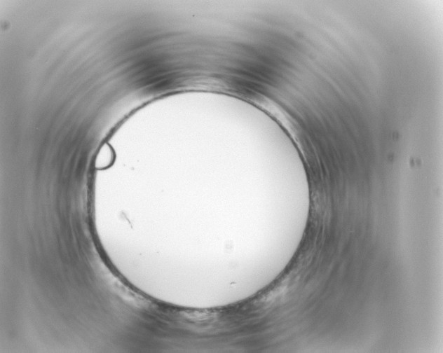 X0000088641147200706221539