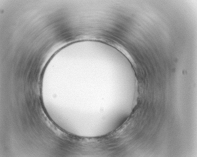 X0000088641148200706221539