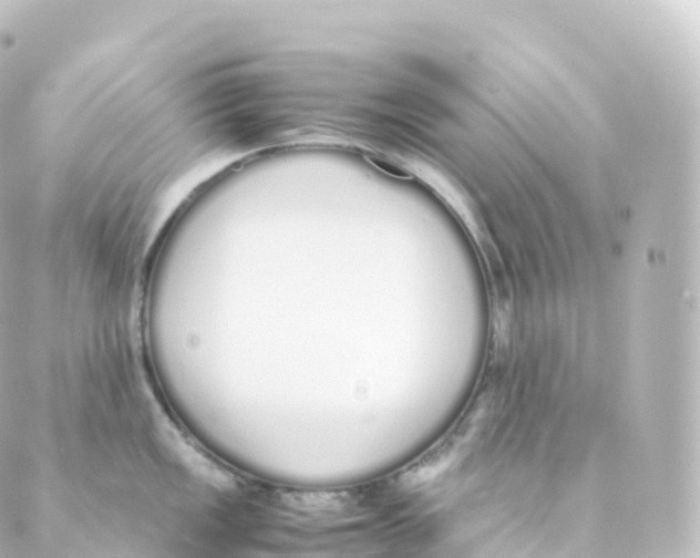 X0000088641149200706221539