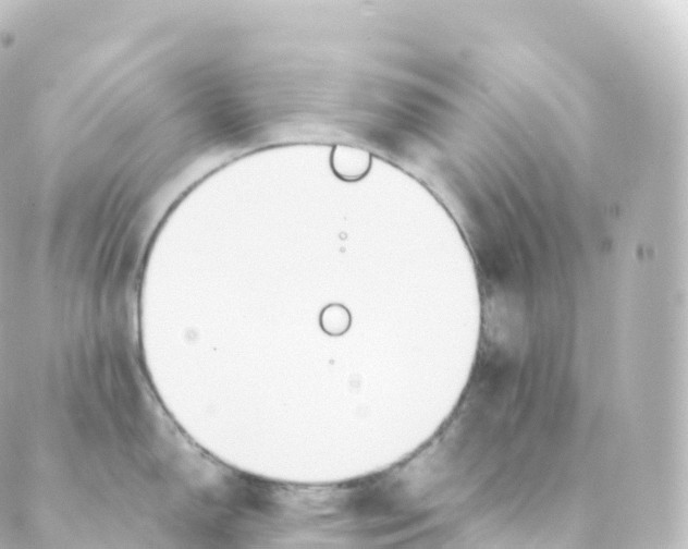 X0000088641150200706221539