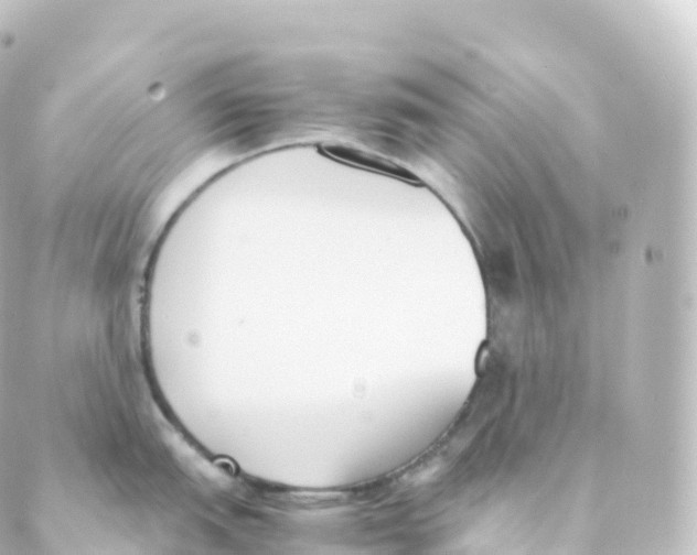 X0000088641151200706221539