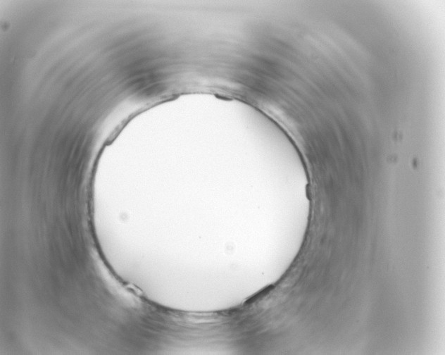 X0000088641152200706221539