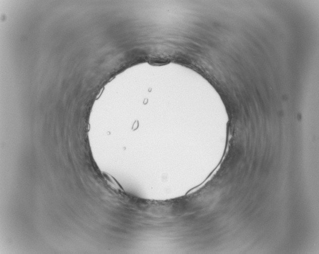 X0000088641153200706221539