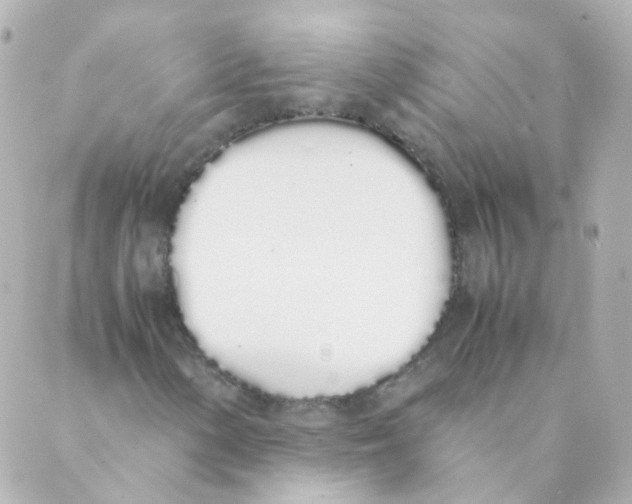 X0000088641154200706221538