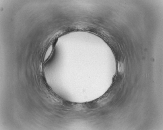 X0000088641155200706221538