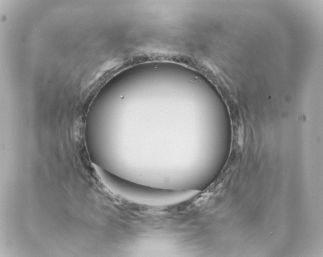 X0000088641157200706221538