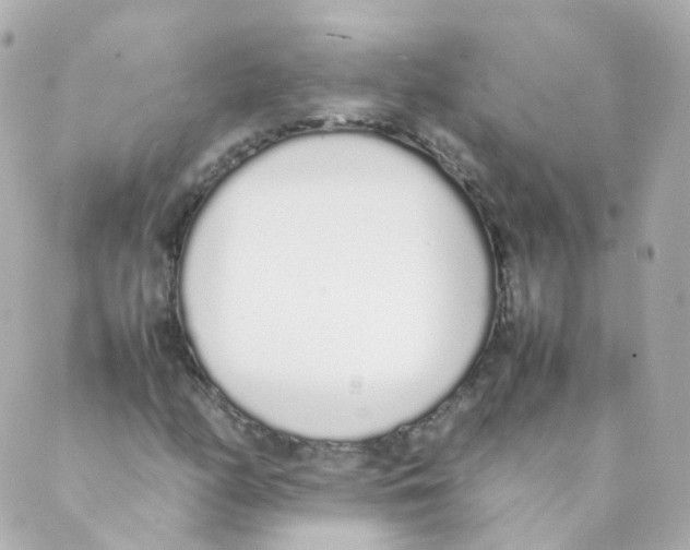 X0000088641158200706221538