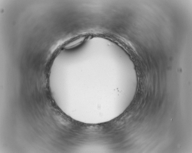 X0000088641160200706221538