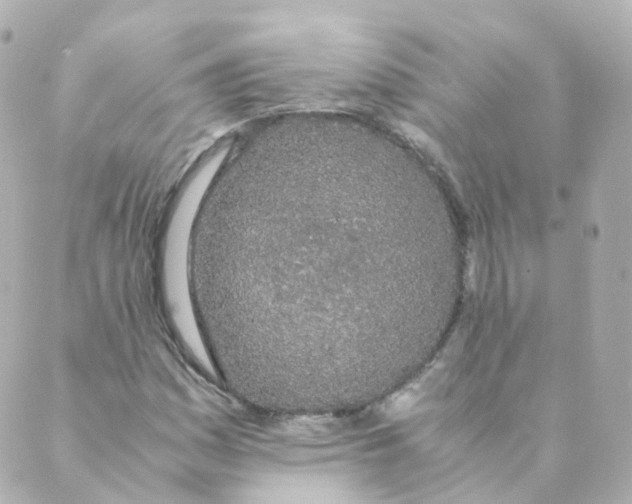 X0000088641161200706221538