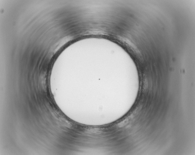 X0000088641162200706221538