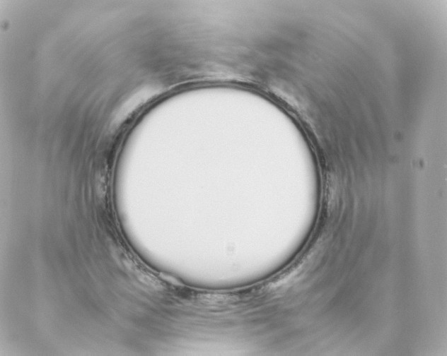 X0000088641163200706221538