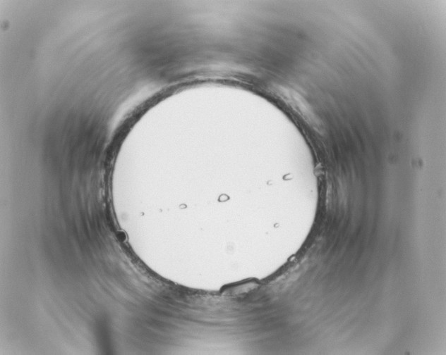 X0000088641164200706221538