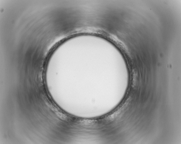 X0000088641166200706221538