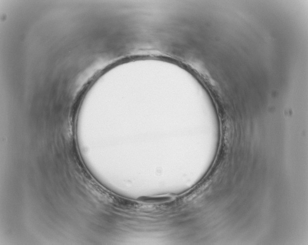 X0000088641167200706221538