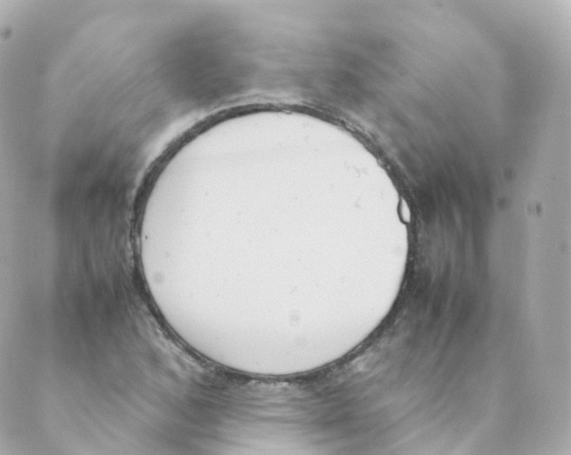 X0000088641168200706221538