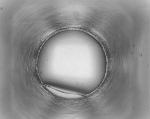 X0000088641169200706221538