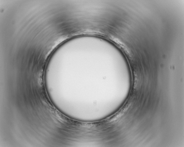 X0000088641170200706221538