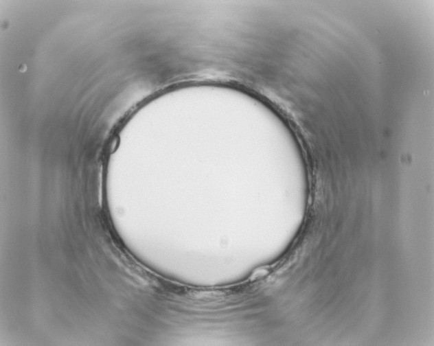 X0000088641171200706221538