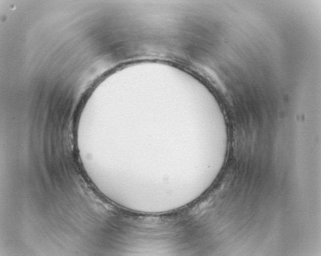 X0000088641172200706221538