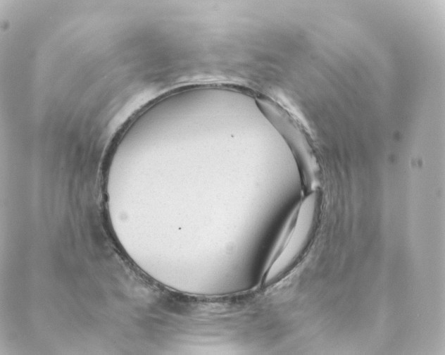 X0000088641173200706221538