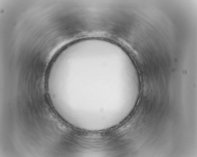 X0000088641174200706221538