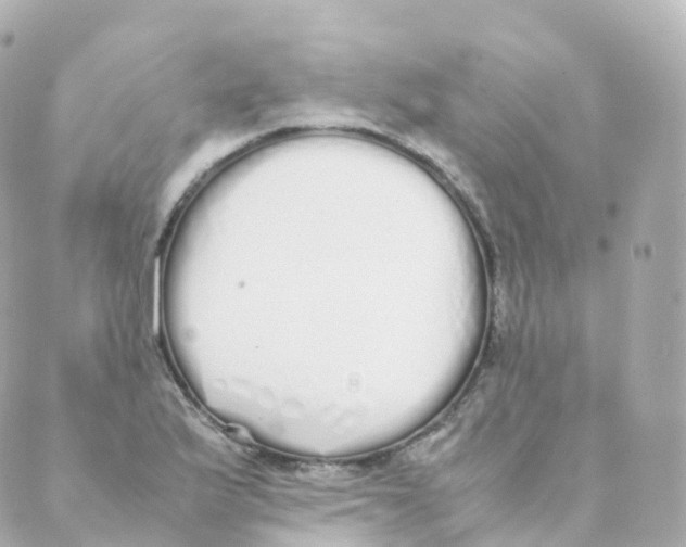 X0000088641175200706221538