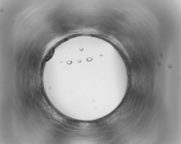 X0000088641176200706221538