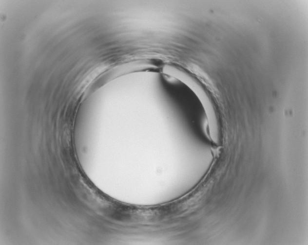 X0000088641177200706221538