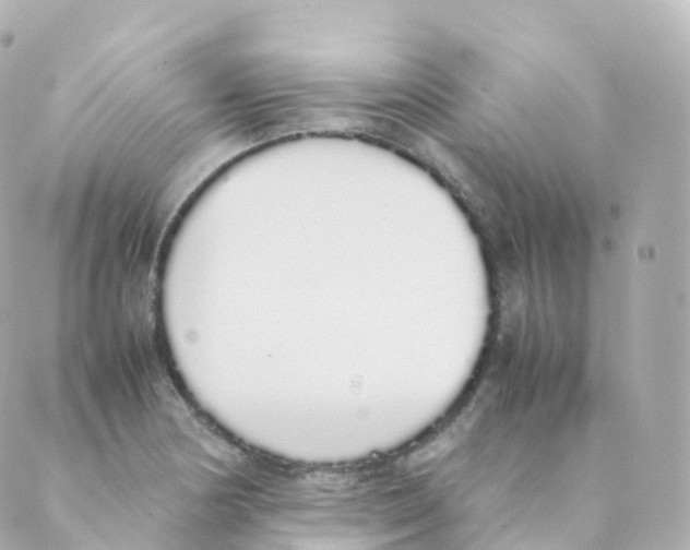 X0000088641178200706221538