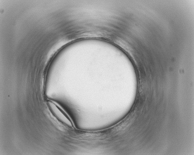 X0000088641179200706221538