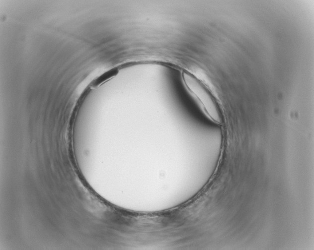 X0000088641181200706221538