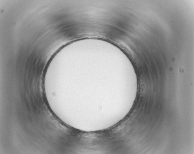 X0000088641182200706221538