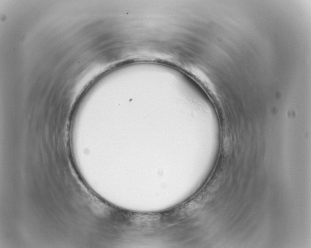 X0000088641183200706221538