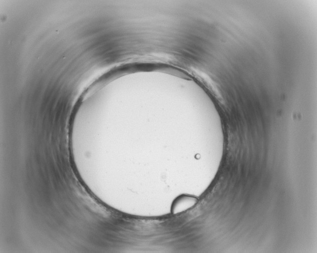 X0000088641184200706221538