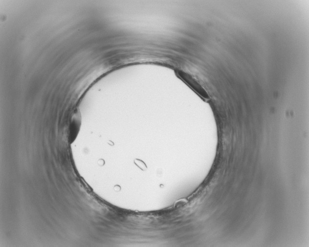 X0000088641185200706221538