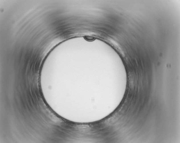 X0000088641186200706221538