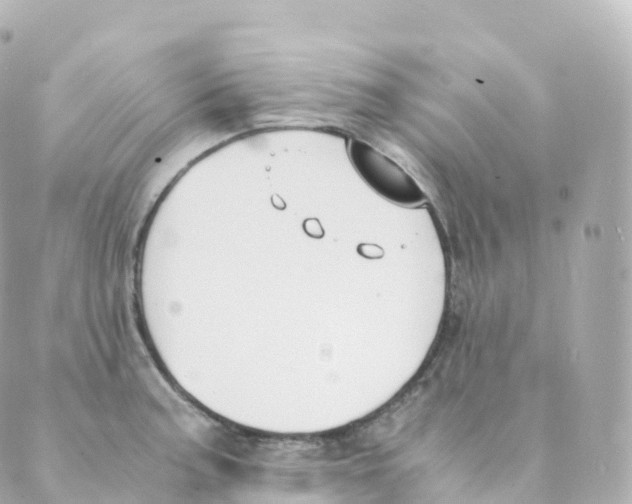 X0000088641187200706221538