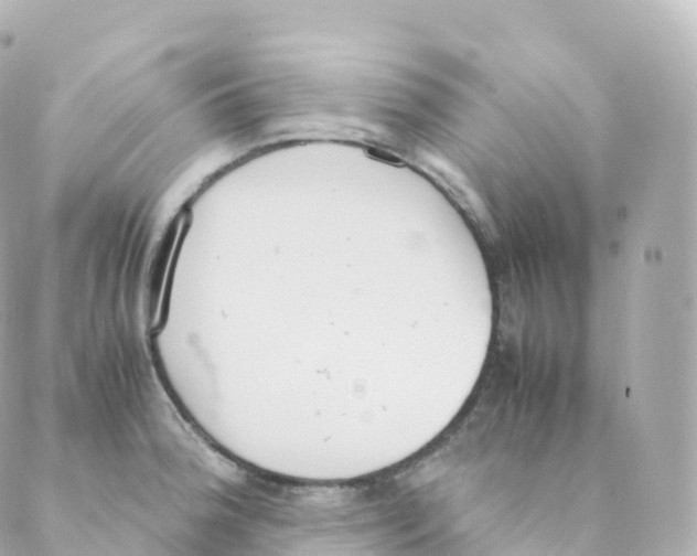 X0000088641188200706221538