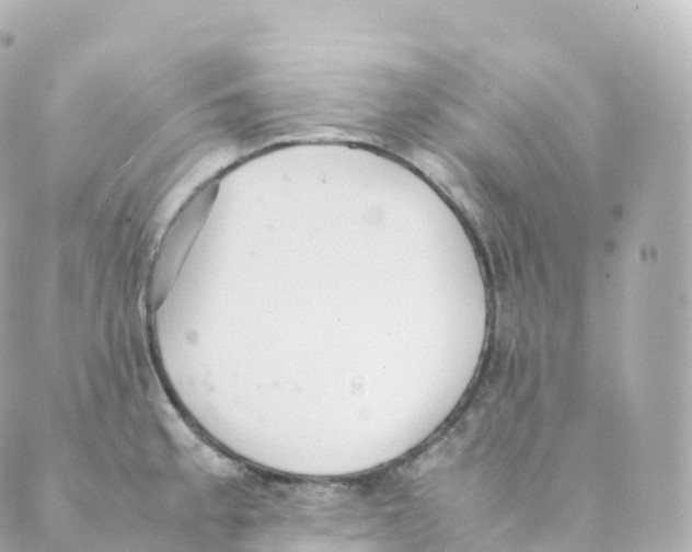 X0000088641189200706221538