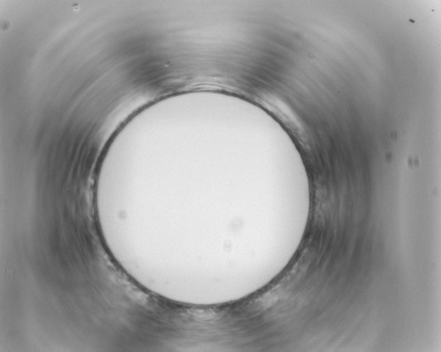 X0000088641190200706221538