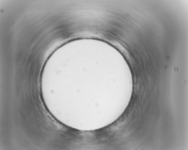 X0000088641191200706221538