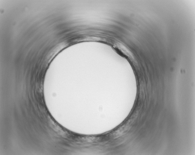 X0000088641193200706221538