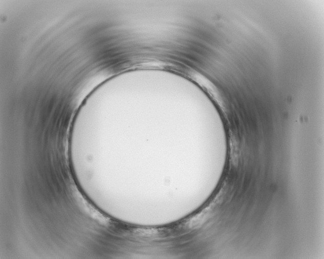 X0000088641194200706221538