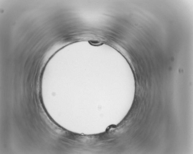 X0000088641195200706221538