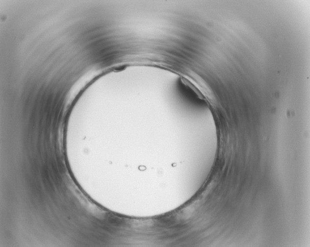 X0000088641196200706221538