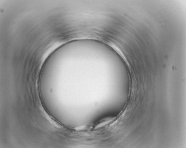 X0000088641197200706221538