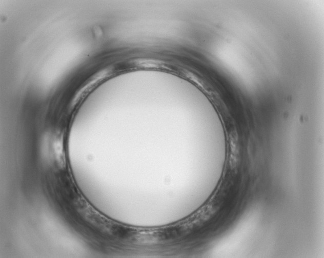 X0000088641198200706221538